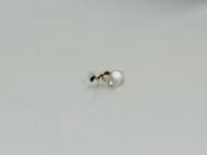 Попытку муравья украсть бриллиант сняли на видео