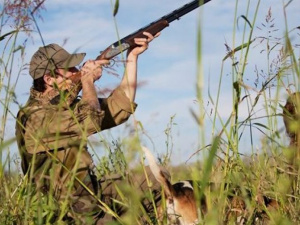 Охота запрещена: что грозит мариупольцам за поход на утку или кролика