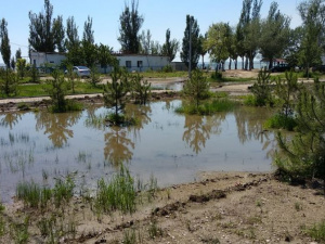 Левобережную набережную в Мариуполе затопило, повалены деревья