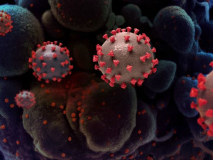 Самый опасный штамм коронавируса «омикрон» из Южной Африки добрался до Европы