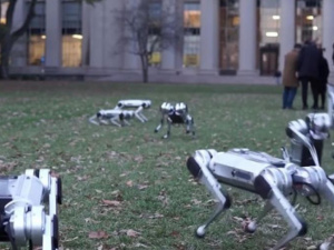 В США роботов-собак выгуляли в парке (ВИДЕО)