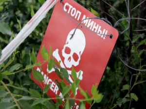 В Донбассе, подорвавшись на мине, погибли трое подростков