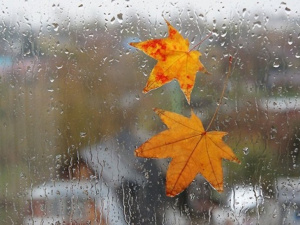 В Україну йдуть дощі: в яких регіонах чекати на опади 4-5 листопада