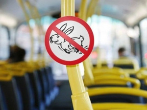 Мариупольские «зайцы»: разоблачения безбилетников в городском транспорте продолжаются