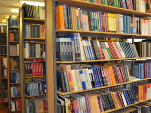 В Донецкой области для библиотек хотели закупить книги сомнительной тематики