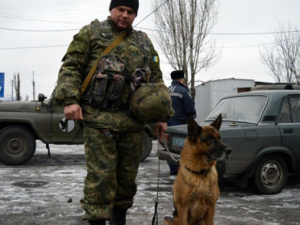 В Донецкой области собаки помогли изъять наркотики, 8000 патронов, более 50 гранат (ФОТО)