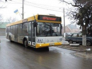 В Мариуполе на одну транспортную проблему стало меньше, - мнение жителей (ФОТО)