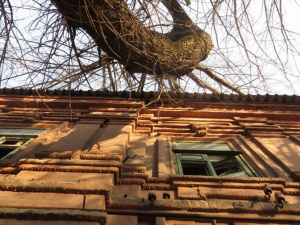   Мариупольские вандалы уничтожают старинный особняк (ФОТОФАКТ)