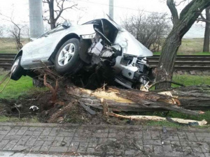 В Приморском районе Мариуполя автомобиль протаранил дерево (ФОТО)
