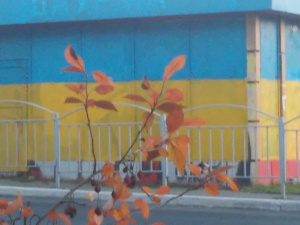 В центре Мариуполя патриотизировали заброшенную «Шаурму» (ФОТО)
