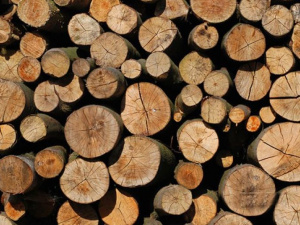 Комитеты самоорганизации населения в Мариуполе обеспечивают жителей дровами