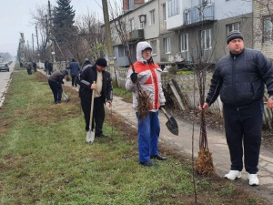 Почти полтысячи яблонь высадили в Мариупольском районе