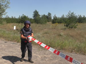 20 взрывоопасных находок обнаружили на территории Донецкой области за последние сутки (ФОТО)
