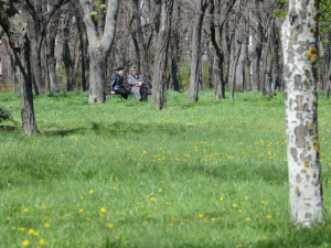 Все в парк! В мариупольских парках стартовал летний сезон (ФОТО+ИНФОГРАФИКА)
