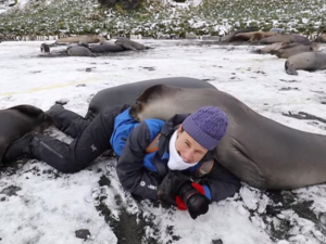 Фотографа «завалило тюленями» во время съемки (ВИДЕО)