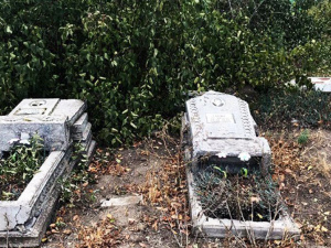 На кладбище в районе Мариуполя орудуют вандалы: разрушены пять могил (ФОТО)