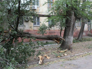 Шторм в Мариуполе «наломал дров» (ФОТОФАКТ)