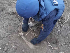 Под Мариуполем возле дачного кооператива нашли минометную мину