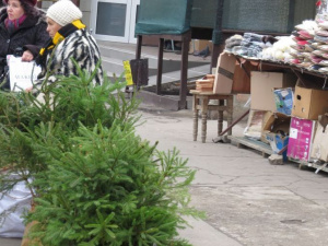Почем елки? В Мариуполе живые новогодние елки продают дешевле искусственных (ФОТО)