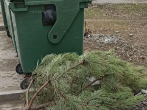За окном весна: мариупольцы продолжают избавляться от новогодних елок (ФОТОФАКТ)