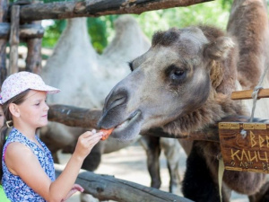 Мариупольским воспитанникам интерната подарили экскурсию по зоопарку (ФОТО)