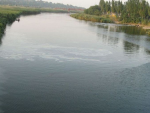 В реке под Мариуполем утонул мужчина