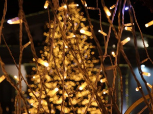 Мариуполь окунулся в новогоднюю атмосферу. Красота вечернего города завораживает (ФОТО)