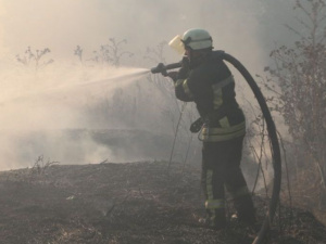 Под Мариуполем пламя охватило четыре гектара земли (ФОТО+ВИДЕО)