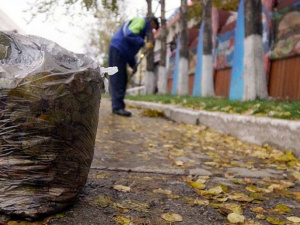 Опавшую листву в Мариуполе «пожирает» специализированный пылесос