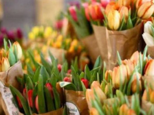 В Мариуполе начался прием заявок на продажу живых цветов: кому позволено торговать?