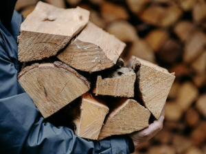 Українцям нарахують по 16 тис. грн субсидії на дрова – як отримати допомогу