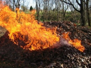 За поджог опавшей листвы мариупольцев ждет наказание гривной (ФОТО)