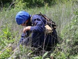 За сутки в Донецкой области обезвредили 9 взрывоопасных предметов