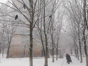 Мариуполь окутало снегом, а горожане готовятся к Новому году (ФОТОФАКТ)