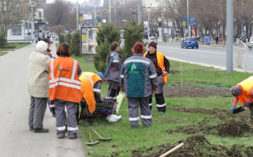 В центре Мариуполя появится гигантская волна из цветов (ФОТО) 