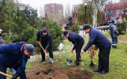 В Мариуполе чиновники высадили саженцы-наследники дуба Шевченко (ФОТО)