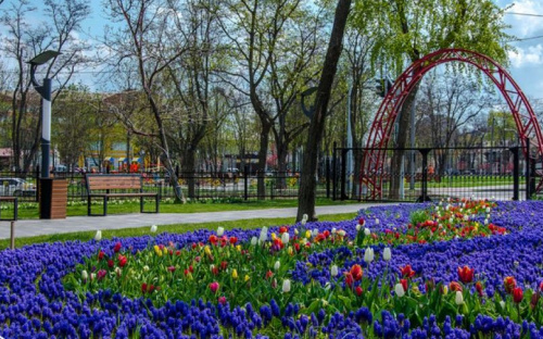 Мариупольскую «Веселку» украсили порядка 200 тысяч цветов (ФОТО)
