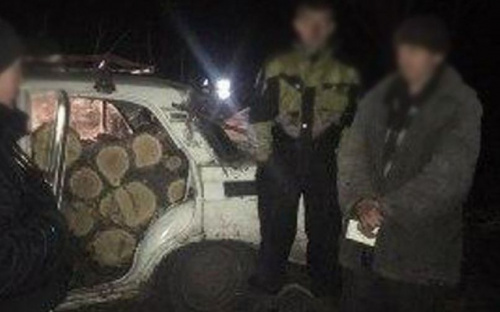 В Донецкой области лесорубы попались «на горячем» (ФОТО)