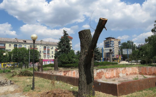На Административной площади Мариуполя четыре могучие ивы остались без крон (ФОТОФАКТ)
