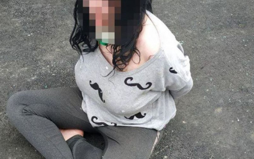 Покусала полицейского и разбила служебное авто: 26-летняя мариупольчанка пойдет под суд