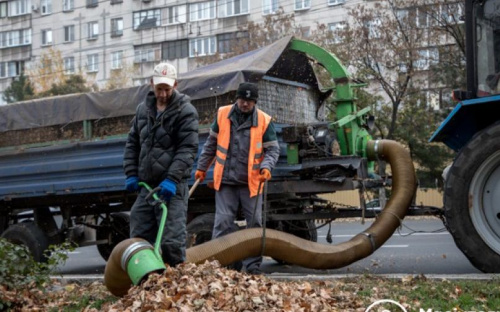 С улиц Мариуполя ежедневно убирают десятки тонн опавшей листвы
