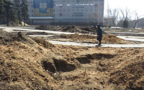 Срез тополя-великана с «образом Девы Марии» исчез под фрезой в Мариуполе (ФОТОФАКТ)