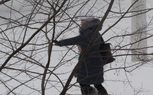 Ночной снегопад завалил Мариуполь. Начата очистка города (ФОТО)
