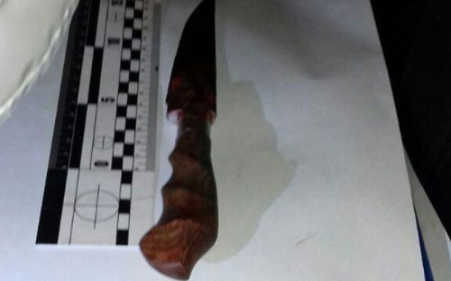 Нанесла 14 ножевых ранений и сбежала. В Мариуполе поймали подозреваемую в убийстве (ФОТО)
