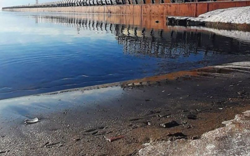 Какой будет погода в Мариуполе на День влюбленных и до конца недели