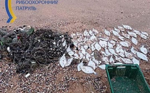 Браконьеры в Приазовье нанесли ущерб на 13 млн грн