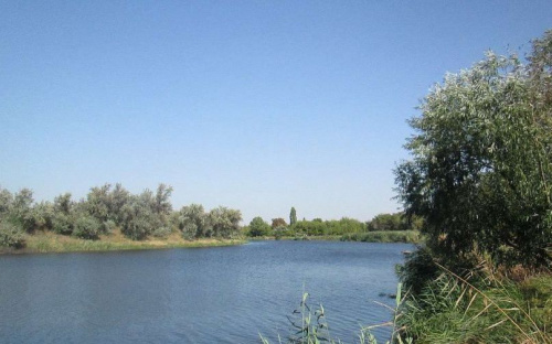 В Донецкой области из реки достали тело мужчины