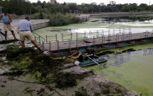 Реку Кальчик в Мариуполе оккупировали водоросли, ряска и камыш (ФОТО)