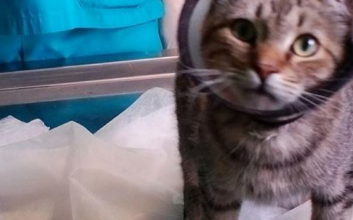 В мариупольской 