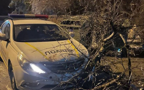 Мариупольцы страдают от последствий непогоды: повреждены деревья и оборваны провода